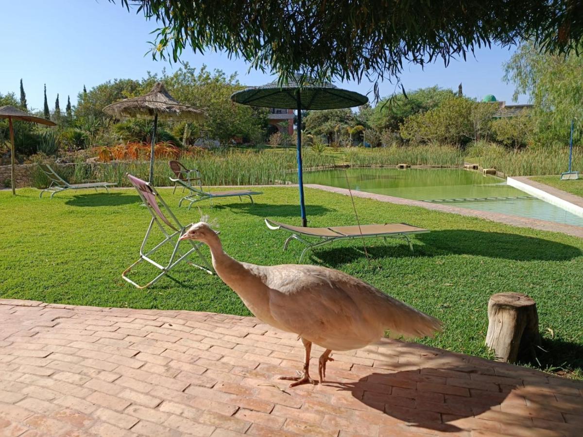 Douar Noujoum Bed & Breakfast Suvayr Dış mekan fotoğraf