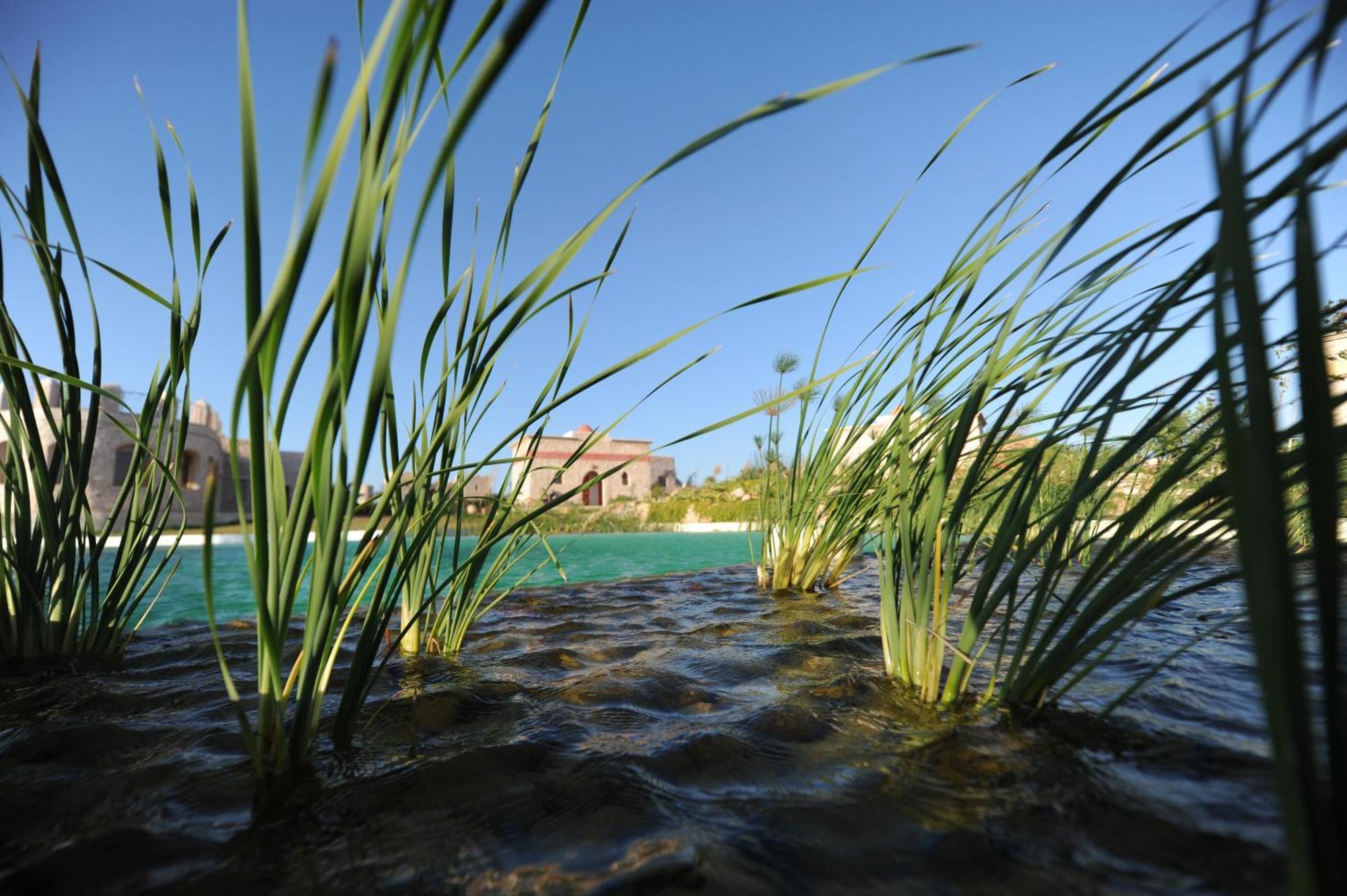 Douar Noujoum Bed & Breakfast Suvayr Dış mekan fotoğraf